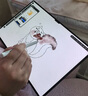 HUAWEI MatePad Pro 13.2英寸2025 柔光版 國家補(bǔ)貼500元華為平板電腦2.8K護(hù)眼屏12+256GB WiFi硯黑 曬單實拍圖