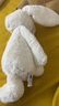Jellycat害羞乳白色邦尼兔動物毛絨玩偶安撫玩偶送禮娃娃生日新婚禮物 乳白色 Medium 曬單實拍圖