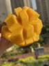 憶京源海南小臺農(nóng)芒果 當(dāng)季熱帶新鮮水果 現(xiàn)摘純甜核薄黃皮甜心芒臺芒 5斤精選大果 曬單實拍圖