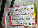 cindybaby兒童學習掛圖幼兒園早教套裝字母表 顏色+動物+英語字母+國際音標 【山西人民出版社出版】 曬單實拍圖