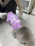 WAKYTU狗狗衣服秋冬夏季薄款法斗小狗春秋泰迪小型犬貓咪寵物T恤雪納瑞 薰衣草紫S碼【適用于7-10斤愛(ài)寵 曬單實(shí)拍圖