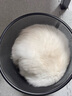 puppytie貓咪牽引繩遛貓背心式貓貓胸背帶貓繩外出防掙脫寵物用品 藍(lán)-胸背帶+牽引繩 XS-超小型建議 5-12斤 曬單實拍圖
