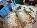 楚峽神韻2025新茶宜昌五峰芽毛尖明前栗香特級(jí)嫩芽炒青綠茶500克 袋裝 250g*2袋 曬單實(shí)拍圖