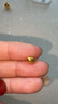 金玉白黃金轉(zhuǎn)運(yùn)珠999足金元寶路路通男女款DIY配飾純金首飾小金豆金珠子 黃金元寶：約0.1g（預(yù)訂） 曬單實(shí)拍圖