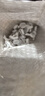 墻上免打孔掛鉤相框無(wú)痕釘掛鉤墻釘貼墻強力掛鉤釘子配件掛鉤 小號無(wú)痕釘50個(gè)裝 曬單實(shí)拍圖