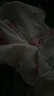 紅豆居家純棉睡衣女春秋長(cháng)袖繡花開(kāi)衫家居服套裝 L (170)  石蜜綠  曬單實(shí)拍圖