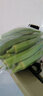 新鮮水果秋葵蔬菜新鮮現(xiàn)摘現(xiàn)發(fā)當季蔬菜生鮮涼拌好物減肥瘦身 現(xiàn)摘水果秋葵 500g 曬單實拍圖