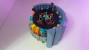 樂高（LEGO）10311 蘭花 創(chuàng)意IDEAS系列永生花花束成人粉絲款情人節(jié)禮物 曬單實(shí)拍圖