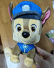 汪汪隊立大功（PAW PATROL）汪汪隊玩具毛絨全套狗狗玩偶公仔男女孩玩具旺旺隊生日禮物 經(jīng)典款-阿奇公仔【需選尺寸】 小號-坐高約15.2CM 曬單實(shí)拍圖