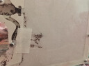螞蟻生態(tài)箱 工坊屋科教玩具螞蟻城堡窩蟻巢室家園莊園沙巢 S13雙城堡+2后200只+糧+免裝 曬單實(shí)拍圖