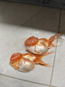 寸金魚食熱帶魚飼料斗魚孔雀魚燈魚小型魚高蛋白微粒增色魚糧 NO128 40g熱帶魚（3包） 曬單實(shí)拍圖