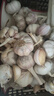 京東紫白皮新鮮濕蒜大蒜現(xiàn)挖蔬菜調(diào)料燒烤食材火鍋食材 新鮮濕蒜2斤裝 1000g 果徑【4-5cm] 曬單實拍圖