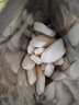 艾唯倪（ivenet）嬰幼兒輔食米餅原裝進口兒童寶寶零食磨牙棒胚芽大米 多口味30g*3 曬單實拍圖