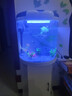閩江（minjiang）半圓形魚缸水族箱圓柱型金魚缸客廳生態(tài)造景免換水錦鯉烏龜缸 純白色+造景套餐+開缸禮包 BY460（魚缸+儲物柜子） 曬單實拍圖