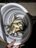 臻佑（Grsaed）雙層釣魚子線盒40CM競技子線仕掛盒鉤盒多功能超長加寬超薄魚鉤魚線盒釣魚漁具配件 曬單實拍圖