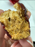 新疆特產(chǎn)冬棗干吊干紅棗新貨免洗非和田棗丑棗綠糖心圓棗哈密藥膳 精選冬棗干1000g 曬單實(shí)拍圖