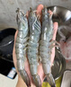OEING原裝進(jìn)口厄瓜多爾白蝦鹽凍鎖鮮特大號新鮮冷凍對蝦海捕蝦大海蝦 40-50約14-15cm 1650g(凈重)  厄瓜多爾白蝦原盒1盒 曬單實(shí)拍圖