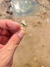 辰義  仿生串鉤翹嘴白條釣組路亞魚(yú)皮套裝亮片鉤海釣餌串釣防纏繞蝦皮 【紅衣6鉤串鉤+10克鉛墜】5套 10號 曬單實(shí)拍圖