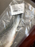 東上御品 國產(chǎn) 生鮮魚類 新鮮冷凍整條海鱸魚凈重3斤/3條-源頭直發(fā) 曬單實(shí)拍圖