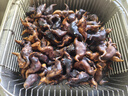 洪湖農(nóng)家 新鮮老菱角 現(xiàn)摘現(xiàn)發(fā) 湖北特產(chǎn)  新鮮蔬菜 洪湖老菱角5斤（普快） 曬單實拍圖