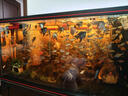 尼特利 NETLEA過(guò)濾桶2號前置桶魚(yú)缸外置無(wú)動(dòng)力魚(yú)缸過(guò)濾器草缸凈水過(guò)濾循環(huán)系統 22mm全棉版（接內徑22mm軟管） 曬單實(shí)拍圖