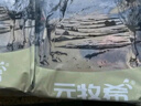 元牧希厚切國產(chǎn)羔羊肉卷 凈重 1斤/包*4火鍋燉煮燒烤食材草原肥羊切片 曬單實拍圖