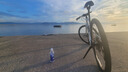 SPECIALIZED閃電 SIRRUS X 6.0 碳纖維通勤輕量公路騎行自行車 沙丘白/緞面黑反光 M 曬單實拍圖