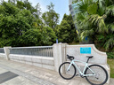 SPECIALIZED閃電 ROUBAIX SL8 男/女耐力碳纖維騎行公路自行車 晨霧色/煙灰色 54 曬單實拍圖