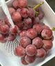 馳振妮娜皇后葡萄無(wú)籽紅提紅寶石應季新鮮孕婦水果年貨送禮禮盒 精選一級果 3斤 【精美禮盒裝】 曬單實(shí)拍圖