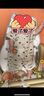 巴厘小豬嬰兒外出服夏季男寶短袖女寶薄款連體衣幼兒夏裝哈衣一歲寶寶衣服 奇妙航游 80cm 曬單實拍圖