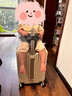 大嘴猴（PAUL FRANK）寶媽行李箱兒童可坐騎拉桿箱帶娃寶寶推車20英寸旅行箱可靠背箱子 曬單實拍圖