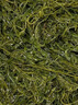 小海故事 鹽漬馬尾藻凈含量250g*4袋 源頭直發(fā) 鞭炮筍長(zhǎng)壽菜火鍋食材  曬單實(shí)拍圖