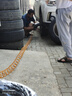 玲瓏輪胎215/60R17 96H 玲瓏臻選 SD 適配寶駿560/榮威 曬單實(shí)拍圖