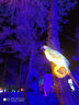 京奢未來感發(fā)箍墨鏡CD雪地太陽鏡女高級(jí)感防風(fēng)防塵護(hù)目鏡太陽眼鏡防曬 M1U【未來感發(fā)箍墨鏡】免費(fèi)試戴 曬單實(shí)拍圖