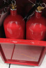 江荊水基滅火器車載家用【老國標(biāo)】【水霧式2L|國家消防認(rèn)證】MSWZ/2 曬單實拍圖