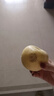 譯優(yōu)農山東黃金奶油富士蘋(píng)果新鮮當季水果脆甜黃金元帥香蕉萍果整箱凈重4.5-5斤大果【約7-9個(gè)】 曬單實(shí)拍圖