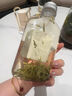 邦潔威冷泡杯泡茶瓶容器萃壺杯泡瓶涼水壺一次性瓶子泡茶壺帶茶隔冷水壺 【10個裝】500ml茶瓶+茶漏+貼紙 曬單實拍圖