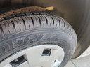 鄧祿普（DUNLOP）輪胎/汽車(chē)輪胎 175/70R14 84H SP-T1 適配五菱榮光 新捷達 瑞納 曬單實(shí)拍圖