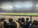 飛利浦適用飛利浦剃須刀HQ8505充電器series5000s9000PT刮胡刀配件線(xiàn) 曬單實(shí)拍圖