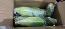京鮮生云南水果玉米 凈重5斤單果280g+ 甜玉米棒新鮮蔬菜應(yīng)季 源頭直發(fā) 曬單實(shí)拍圖