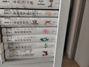 中國古代文體學研究  中華學術中華書局有道系列叢書 曬單實拍圖