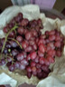 克倫生無(wú)籽紅提紅提葡萄精品無(wú)籽紅提葡萄新鮮應季水果葡萄提子 3斤 曬單實(shí)拍圖