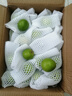 夢(mèng)茜兒 MEXEMINA現貨 蘋(píng)果棗版納 新鮮5斤云南現摘純甜大牛奶青棗貴妃整箱時(shí)令 5斤 中果【40-70g】青棗 曬單實(shí)拍圖