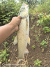 漁之源魚(yú)護(hù)網(wǎng)兜漁網(wǎng)專(zhuān)利加厚防掛速干釣魚(yú)護(hù)包漁具卡邊魚(yú)護(hù)40cm 3m 曬單實(shí)拍圖