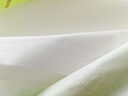 舒可樂【活動專享】原木卷紙無芯衛(wèi)生紙家用整箱批發(fā)擦手紙巾MX 5層 30節(jié)*12卷 【-】12卷*1提 曬單實拍圖