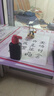 【全網(wǎng)低價(jià)】六品堂毛筆字帖初學(xué)者專(zhuān)用入門(mén)描紅套裝書(shū)法練字帖兒童小學(xué)生4-6年級同步臨摹練習冊歐體中楷毛筆字練習紙 曬單實(shí)拍圖