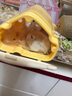 CARNO PET PRODUCTS卡諾倉鼠花草浴沙尿砂除臭祛味金絲熊洗澡浴室用品 1.5kg 曬單實拍圖