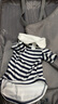 小凍狗狗夏季衣服薄款透氣短袖休閑可愛風(fēng)小型犬衣服寵物防掉毛春夏裝 邦迪藍條紋 L （建議8-11斤） 曬單實拍圖