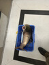 kastking卡斯丁多功能路亞控魚(yú)器控魚(yú)鉗抓魚(yú)鉗取鉤器控大物魚(yú)夾子 曬單實(shí)拍圖