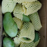 京世澤【立減特惠】源頭直采鷹嘴芒 新鮮水果 熟后爆甜 芒果 凈重4.5斤（單果150g+） 曬單實拍圖
